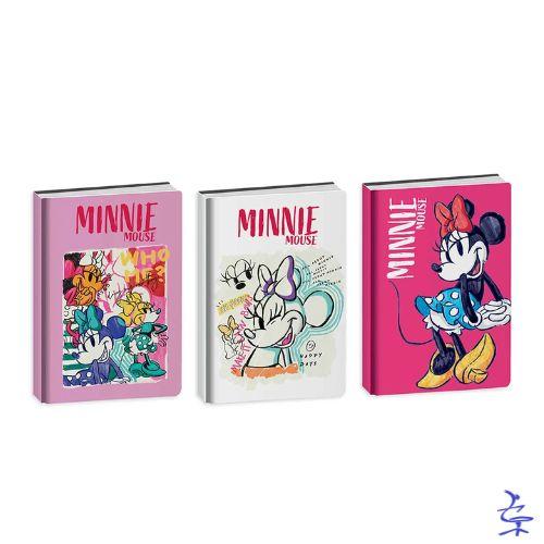 DIARIO AGENDA 10 MESI MINNIE